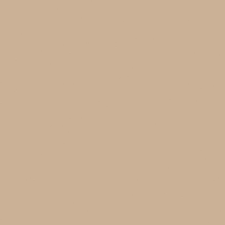 1/2 yard Riley Blake - Confetti Cottons - Cappuccino
