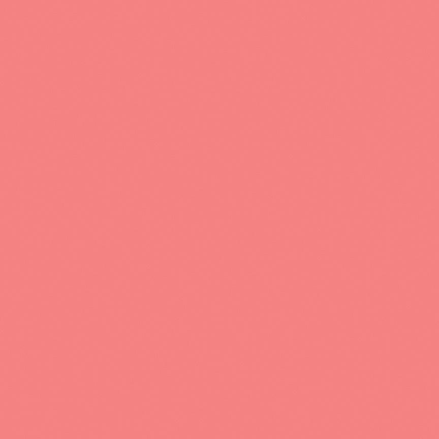 1/2 yard Riley Blake - Confetti Cottons - Lipstick