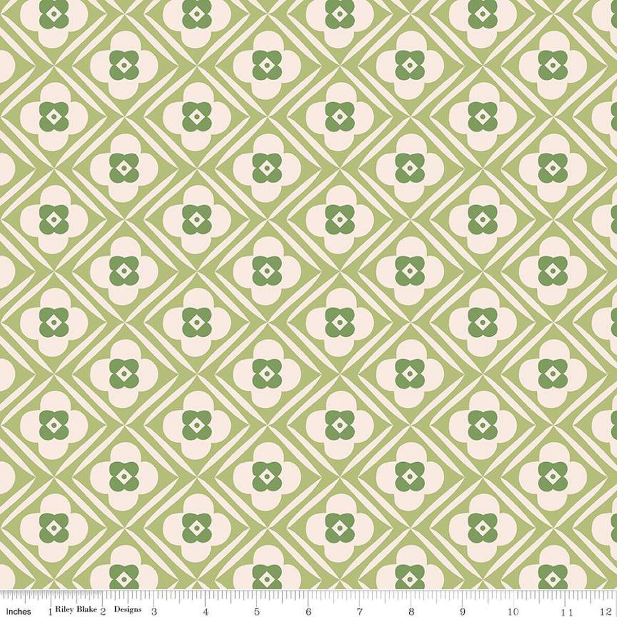 3 yard cut 108" Backing - Riley Blake - Bee Plaids - Hugs Lettuce