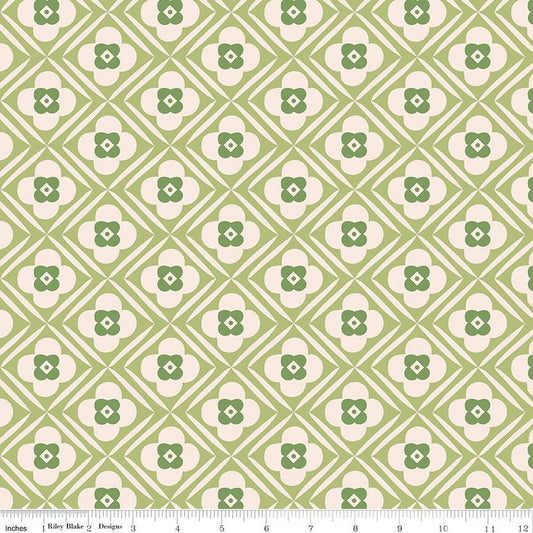 3 yard cut 108" Backing - Riley Blake - Bee Plaids - Hugs Lettuce